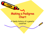 Making a Pedigree Chart - Kyrene School District