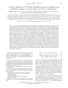 Catalytic mechanism of nucleoside diphosphate kinase investigated