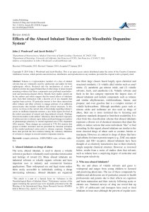 Effects of the Abused Inhalant Toluene on the