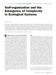 Self-organization and the Emergence of Complexity in Ecological