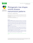 Phylogenetic tree shapes resolve disease