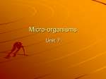 Micro organisms
