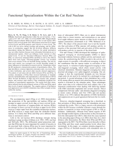 Functional Specialization Within the Cat Red Nucleus