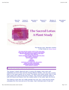 Lotus Plant Study