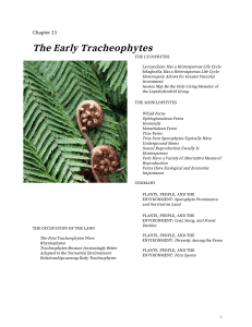 The Early Tracheophytes - Department of Plant Biology