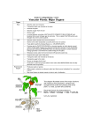 Parts of a Plant