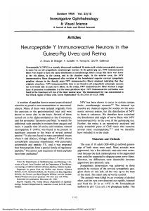 Neuropeptide Y immunoreactive neurons in the guinea