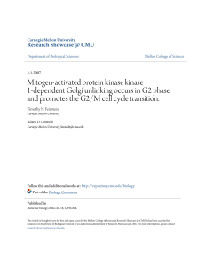 Mitogen-activated protein kinase kinase 1