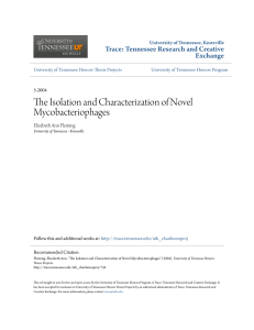 The Isolation and Characterization of Novel Mycobacteriophages