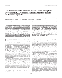Ca /Nicotinamide Adenine Dinucleotide Phosphate