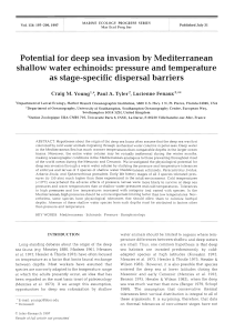 Potential for deep sea invasion by Mediterranean shallow water