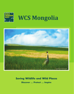 WCS Mongolia
