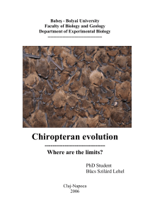 Chiropteran evolution -----------------------------