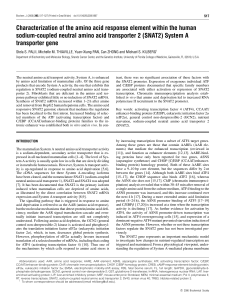 Characterization of the amino acid response element within the