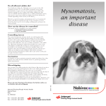 Myxomatosis, an important disease