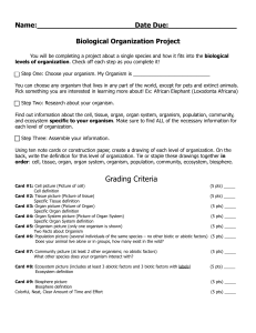 Biological Organization Project Rubric