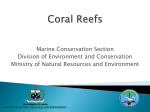 Coral Reefs of Samoa - Ministry of Natural Resource and Environment
