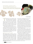 photosynthesis - National Science Teachers Association