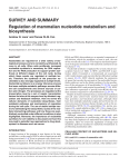 SURVEY AND SUMMARY Regulation of mammalian nucleotide