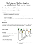 The Producers: The Plant Kingdom An Introduction to