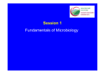 Fundamentals of Microbiology