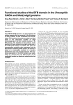 Functional studies of the BTB domain in the Drosophila GAGA and