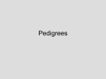 Pedigrees - SVHonBioLeas1