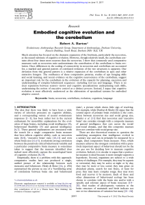 Embodied cognitive evolution and the cerebellum