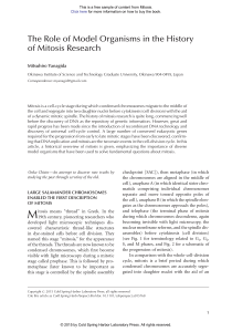 The Role of Model Organisms in the History of Mitosis