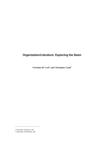 Organization/Literature: Exploring the Seam