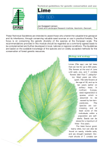 Technical guidelines for genetic conservation and use for lime (Tilia