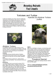Tortoises and Turtles