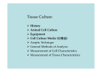 Tissue Culture