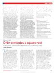 Biocomputing: DNA computes a square root