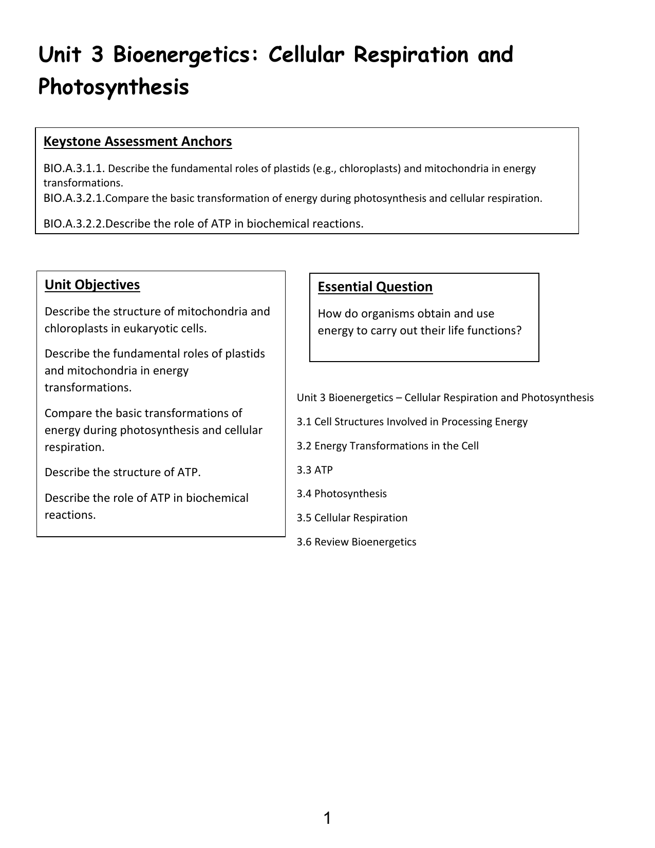 unit 3 bioenergetics cellular respiration and photosynthesis venn diagram of stroma and granum