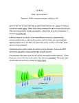 9.2 NOTES What is groundwater? Objective: Explain how