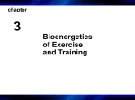 Bioenergetics of Exercise and Training