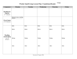 Weekly Small Group Lesson Plan: Transitional