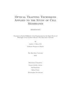 Optical Trapping Techniques Applied to the Study of Cell Membranes