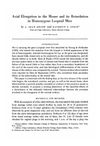 Axial Elongation in the Mouse and its Retardation in Homozygous