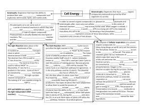 Cell Energy Concept Map