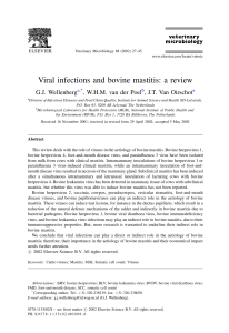 Viral infections and bovine mastitis: a review