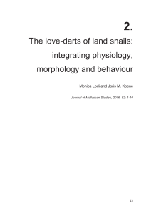 The love-darts of land snails: integrating physiology, morphology