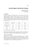 Lean Six Sigma in the Service Industry