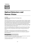 Optical Detectors and Human Vision