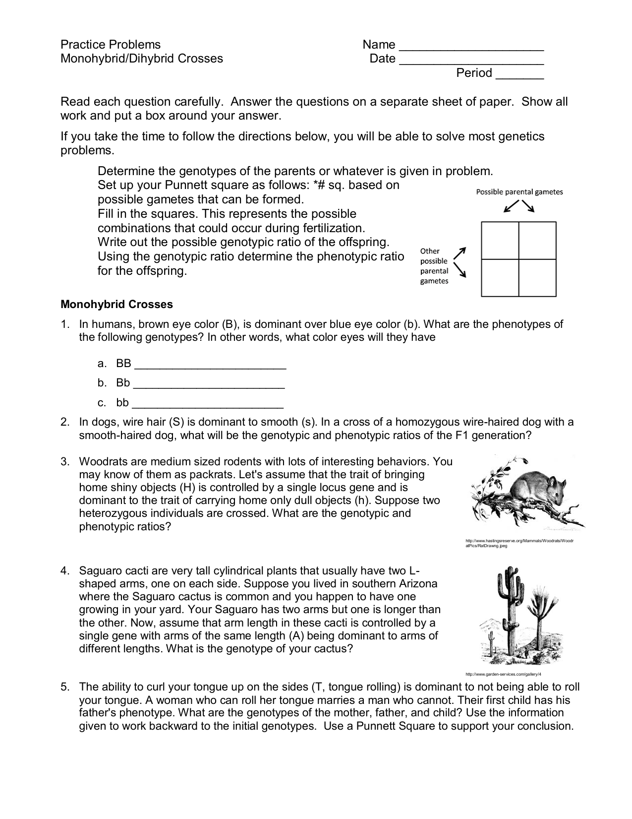 Practice Problems Name Monohybrid/Dihybrid Crosses Date Period In Monohybrid Crosses Worksheet Answers