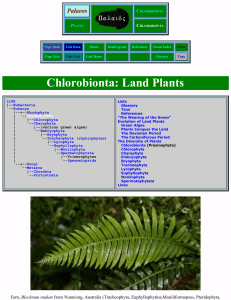 Palaeos Plants: Chlorobionta