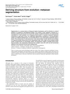 Deriving structure from evolution: metazoan segmentation