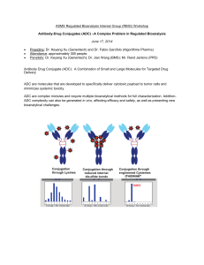 2014 Conference Workshop Report