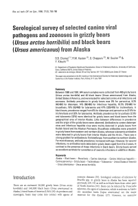 ( Ursus arctos horribilis) and black bears